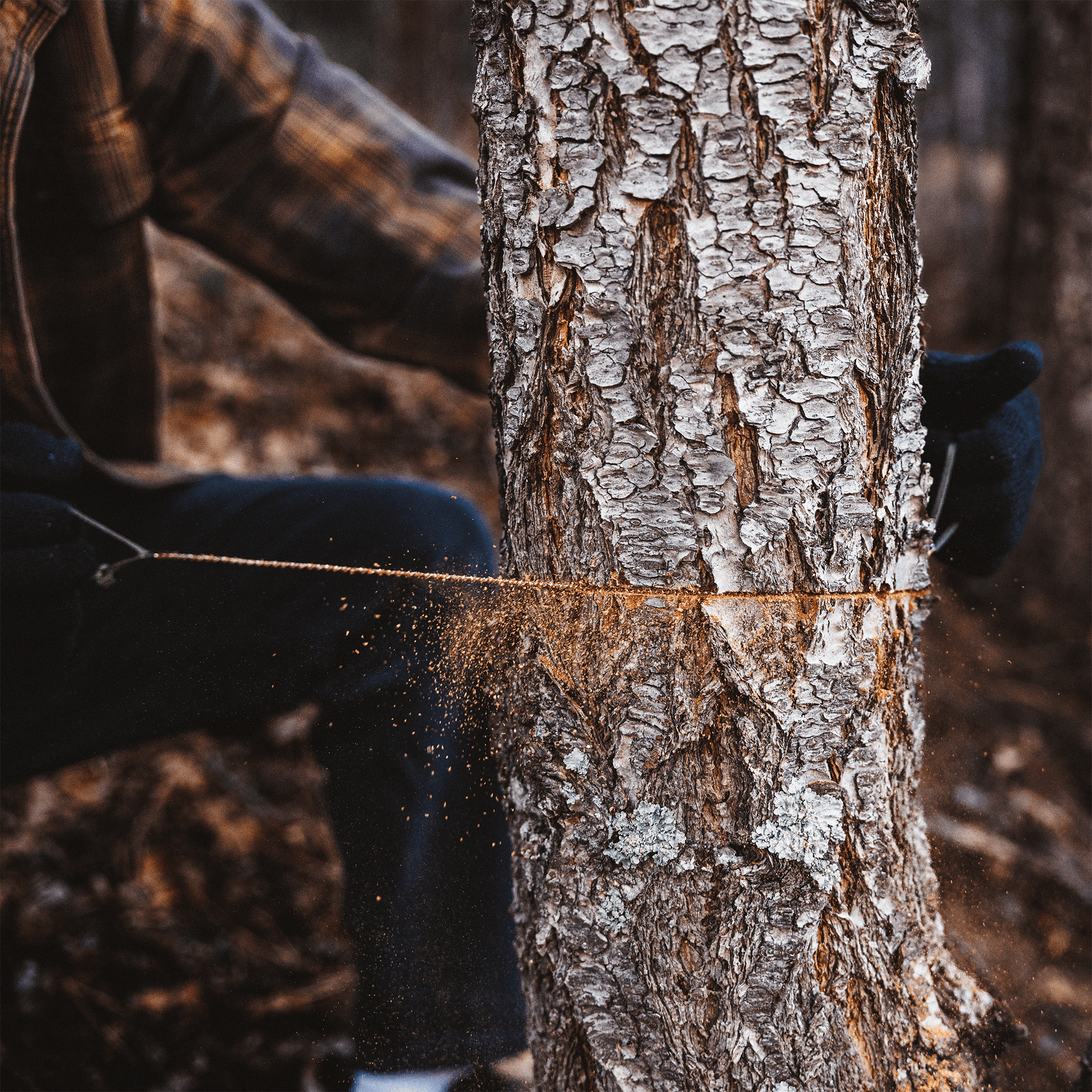 Compact Survival Saw [BLACK FRIDAY SALE] - Bigfoot Bushcraft