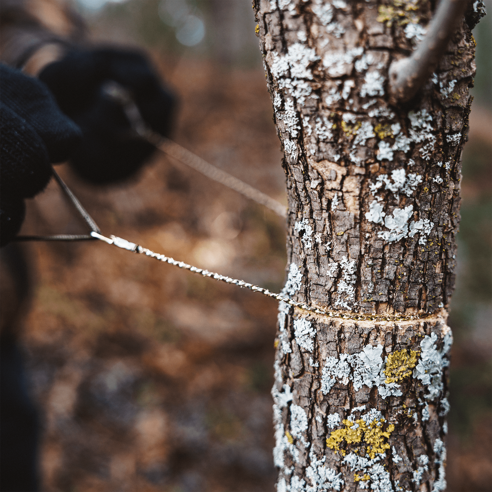 Compact Survival Saw [BLACK FRIDAY SALE] - Bigfoot Bushcraft