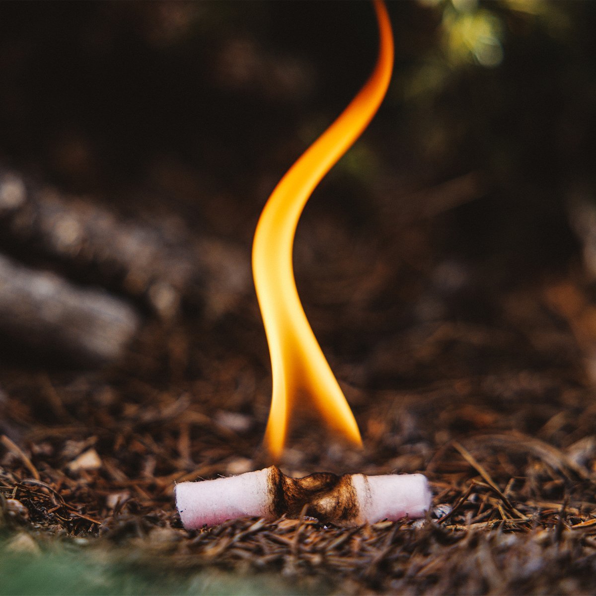 🎁 Fire Plugs (100% off) - Bigfoot Bushcraft